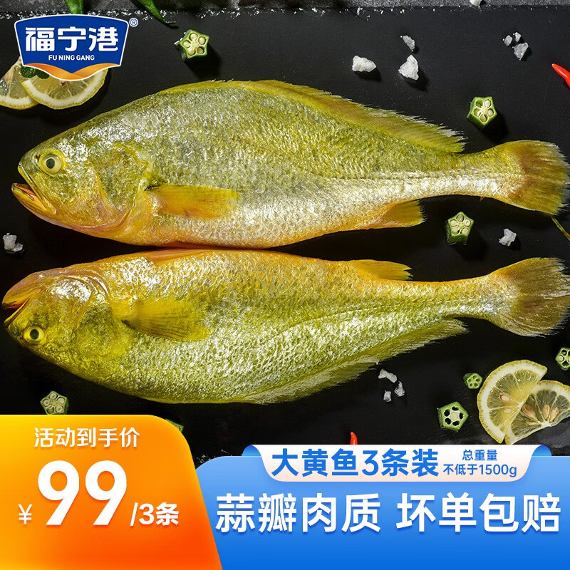 福宁港 宁德黄花鱼 冷冻大黄鱼 黄鱼 生鲜 国产海鲜 烧烤食材 健康轻食 大黄鱼（共）