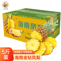 欣娃海南金钻凤梨无眼菠萝新鲜当季生鲜水果 5斤中果（单果750g+）2-3个