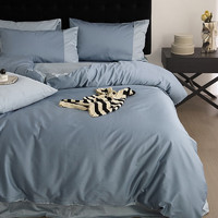 AIDLI 100支新疆长绒棉贡缎纯色四件套床上用品双人被套床单套件 天际蓝 200*230cm四件套（1.5/1.8m床）
