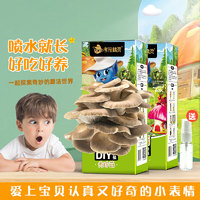 考拉精灵平菇蘑菇种植包菌包2盒装可食用儿童diy菌菇棒菌种子盆栽