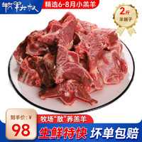 牧羊大叔 宁夏滩羊肉 生鲜羊肉礼盒 羊蝎子新鲜羔羊脊骨 炖煮火锅食材 羊蝎子2斤