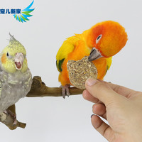 寵兒新家 五谷雜糧鸚鵡零食餅干 鳥獎勵食物 訓練用鳥糧飼料鳥食