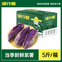 GREER 绿行者 紫薯5斤应季红蜜番薯农生鲜软糯香甜新鲜山东现挖地瓜