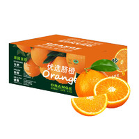 良田石山 赣南州新鲜脐橙生果冻鲜橙子年货节水果礼盒 3斤大果 单果140g+ 净重2.7斤