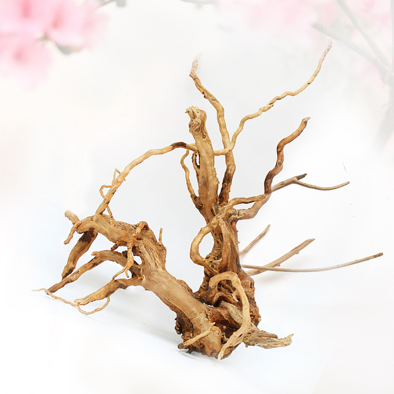 SEA STAR 杜鹃根莫斯树根沉木造景木鱼缸水族箱天然造景水草造型装饰品摆件 杜鹃根小号1个+水5g