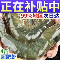 XYXT 虾有虾途 新鲜青岛大虾4斤17-19厘米超大海虾