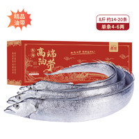 XIAN YAO 鱻谣 大号精品油带鱼礼盒8斤约14-20条 单条4-6两