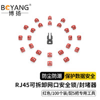 博扬 RJ45可拆卸锁 网络接口封堵器 网口锁 红色 100个装（配5把工具）BY-RJ45-ZS-RD100
