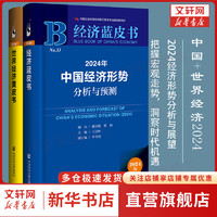 经济蓝皮书 2024年中国经济形势分析与预测  中国经济2024 中国经济+世界经济2024
