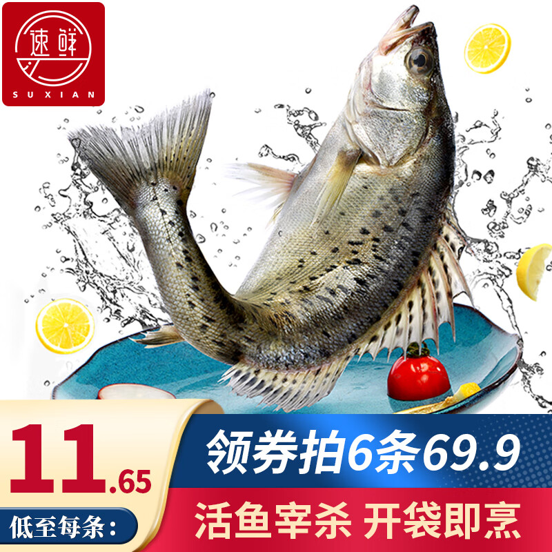 速鲜（SuXian）三去白蕉海鲈鱼冷冻鱼类海鲜去鳃去鳞去内脏 三去开肚净重200克/条
