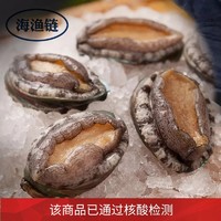 海渔链 鲍鱼大鲍鱼冷冻鲍鱼 海鲜水产贝类生鲜火锅食材 8头大鲍鱼/500g