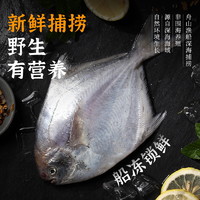 88VIP：遇上鮮 銀鯧魚新鮮冷凍舟山海鮮昌扁魚鮮活速凍水產平魚大白鯧魚