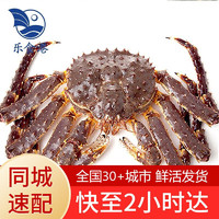 【活鲜】乐食港 同城速配 鲜活帝王蟹4.6-5斤/1只海鲜水产 4.6-5斤/一只