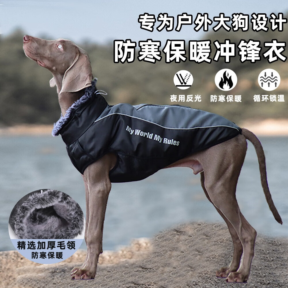 PEITE PET狗狗衣服冬天加厚保暖棉衣中大型犬金毛杜宾边牧柯基狗衣服可牵引 陨石灰【加绒加厚】 5XL （适合55-69斤）