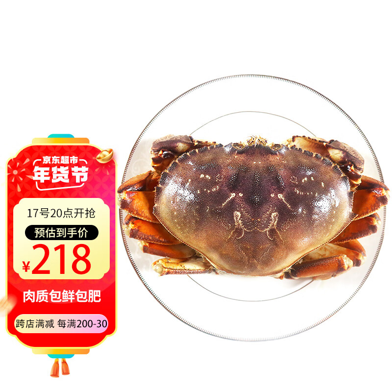 鲟食 活冻珍宝蟹 生鲜大螃蟹肉蟹 超大蟹类生鲜 海鲜水产 1100g -1300g/只