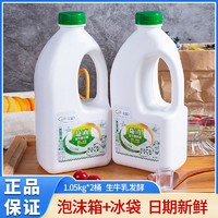 yili 伊利 益消瓶裝原味酸奶1.05kg*2桶水果撈炒酸奶風味發酵乳營養早餐
