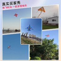 创晓 2024年潍坊风筝儿童卡通微风易飞小孩大人高档风筝送50米线