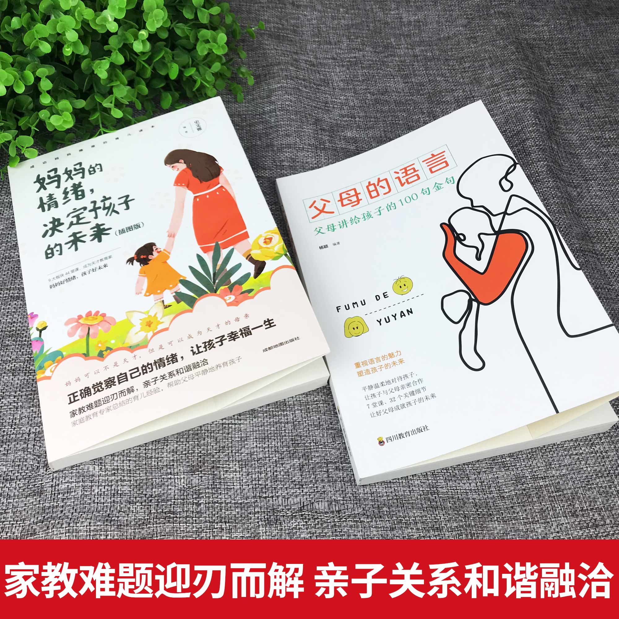 全套2册父母的语言+的情绪决定孩子的未来樊登正面管教养育家庭教育儿书籍父母阅读培养教育孩子的书籍书