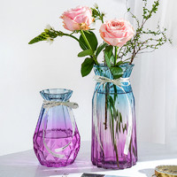 姝好 兩件套簡約創意玻璃花瓶水培鮮花富貴竹水養植物插花瓶客廳裝飾