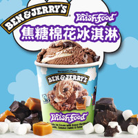 BEN & JERRY'S Ben&Jerry;'s本杰瑞香草巧克力曲奇碎冰淇淋多口味自选