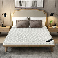BINLAND 冰兰 床垫椰棕床垫1.8m棕垫1.5米经济型棕垫硬薄床垫定做折叠定做