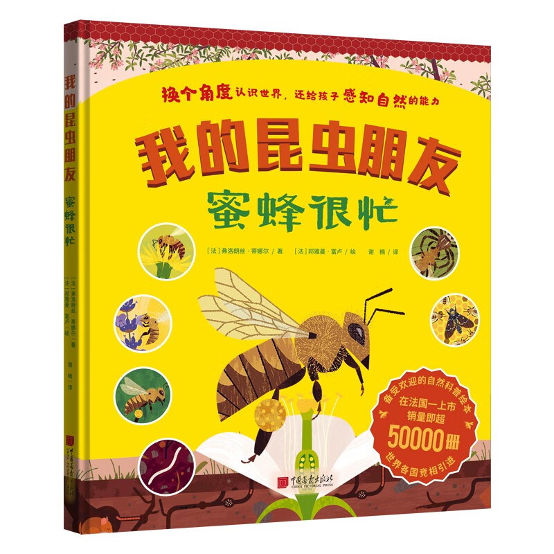 我的昆虫朋友·蜜蜂很忙：美绘版昆虫记，换个角度认识世界，还给孩子感知自然的能力。