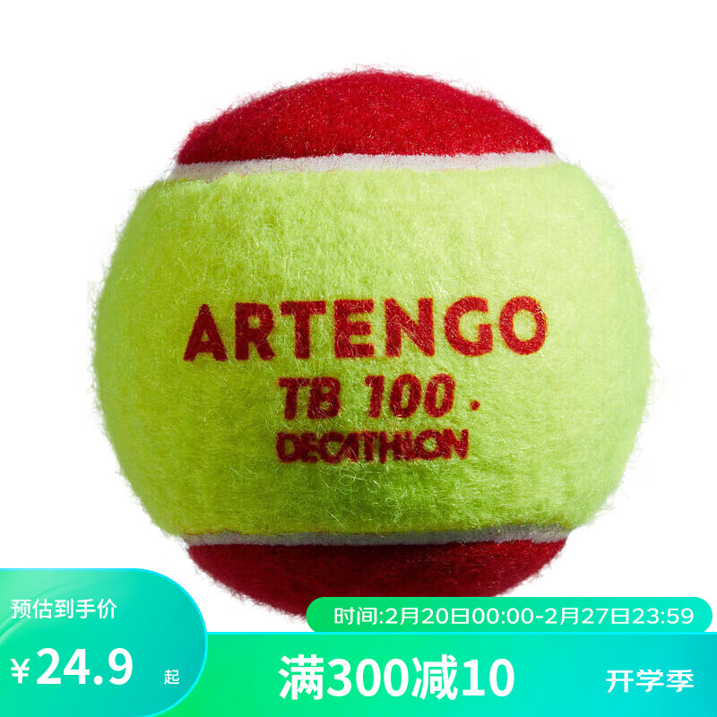 DECATHLON 迪卡侬 网球袋装球箱装球大包装有压耐打TEN网球TB100 -红色 4045454
