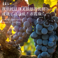 88VIP：宁夏红 13度鹿王葡萄酒赤霞珠干红750ml贺兰山产区红酒聚会送礼