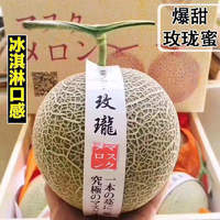 日本引进品种  海南网纹瓜  9斤装（特大果2-4个）