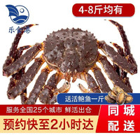 【活鲜】乐食港 鲜活帝王蟹 俄罗斯进口大螃蟹 活蟹海鲜水产蟹类 6.6-7.0斤/一只（鲜活发货）