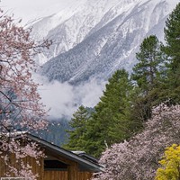 春促最后1天：新增桃花節團期不加價！看最美的風景，住最絕的酒店，此生必去就是他了！松贊西藏林芝波密/南迦巴瓦-巴松措6天5晚私家團