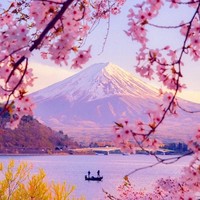 日本你又降了！暑假含税往返1.2K+！樱花季1.5K+！