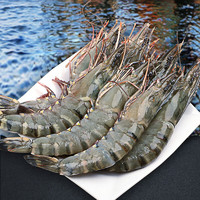 星龙港 特大号老虎虾 鲜活速冻海鲜水产 黑虎虾（15头）500g*2盒15-16cm