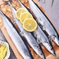 星龙港 新鲜 烧烤海鲜 水产鲜活深海鱼 秋刀鱼3斤