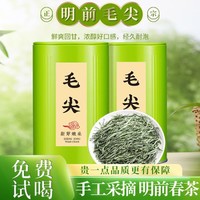小茶日记 毛尖绿茶信阳原产明前春茶2023新茶毛尖浓香型绿茶茶叶