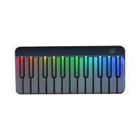 MUSIC PASSWORD 音乐密码 扩展键盘彩虹琴便携电子钢琴新手入门