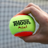 TELOON天龙儿童网球过渡球短式网球软式女生初学练习球减压训练球