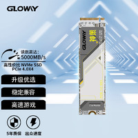 GLOWAY 光威 2TB SSD固態硬盤 M.2接口(NVMe協議) PCIe 4.0x4 神策系列