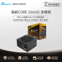 Seasonic 海韵 游戏酷核CORE GX650电源650W全日系电容 14cm小身形 金牌全模 CORE GX650