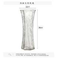 若花 特大号玻璃花瓶透明水养富贵竹花瓶客厅家用插花瓶摆件