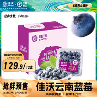 JOYVIO 佳沃 云南当季蓝莓14mm+ 12盒原箱 约125g/盒 生鲜水果