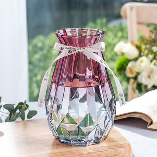 乐之沭 欧式创意玻璃花瓶透明满天星干花网红花瓶家用插花客厅装饰摆件