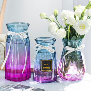乐之沭 三件套北欧ins风玻璃花瓶透明干花客厅插花水养绿萝水培百合摆件