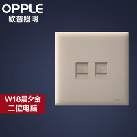 欧普（OPPLE）照明磨砂开关插座空调插座五孔面板暗装多孔家用W18 二位六类电脑插(网线接口)