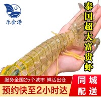 乐食港鲜活富贵虾 500g（2-3只）虾类 活虾大虾海鲜水产 500g（2-3只）