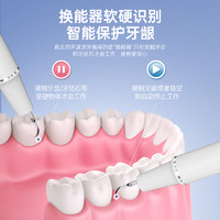 Degaba 德国牙结石去除器超声波洗牙器洁牙仪神器去除牙石牙垢渍