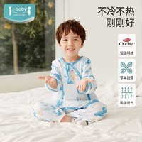 i-baby 男女宝宝恒温睡袋春秋冬季款婴幼儿童小孩四季通用棉防踢