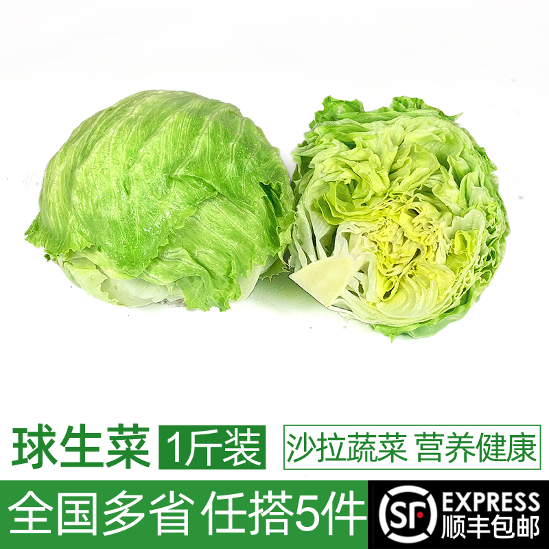 绿食者 新鲜球生菜500g 汉堡用西生菜西餐三明治沙拉蔬菜轻食食材