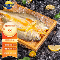 三都港 冷冻醇香黄鱼鲞900g(3条装）黄花鱼 生鲜鱼类 海鲜水产 深海鱼