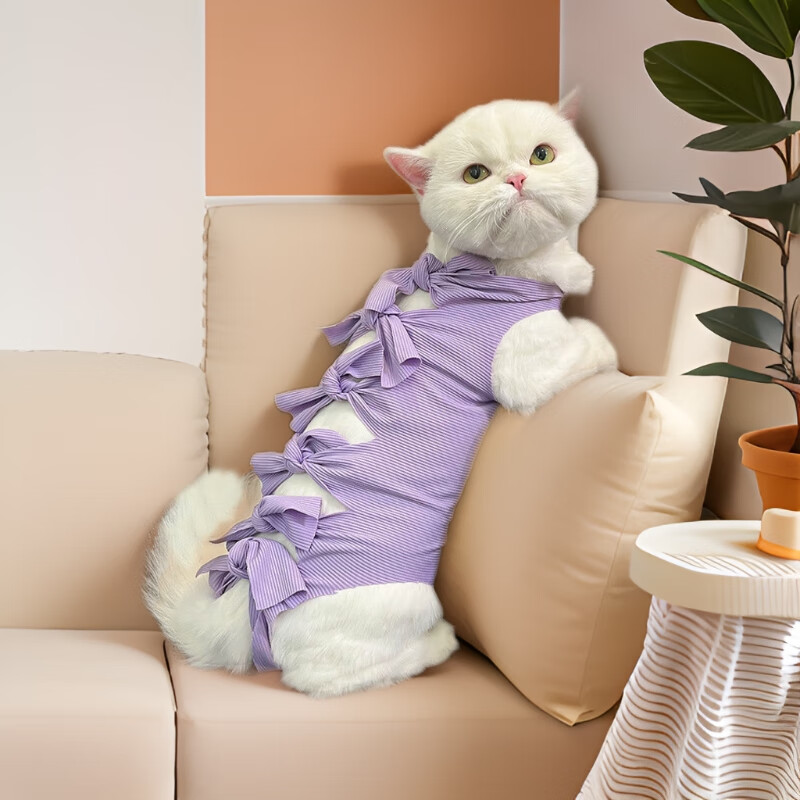 宠号 宠物猫咪衣服 绝育服 母猫 手术服小猫 浅紫色 M 6-12斤